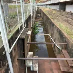 FOTOS: veja como est� o Moren�o ap�s quase 4 anos fechado