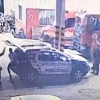 Jovem invade batalh�o dos bombeiros em Sinop e acaba preso; veja v�deo