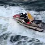 Cadela 'pilota' jet ski e viraliza na internet