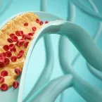 Quanto tempo os ovos duram na geladeira? Aprenda a verificar
