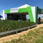 Vittia começa seu 55º aniversário com prejuízo e vendas menores
