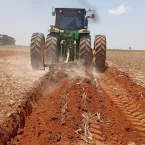 Calcário ajuda plantar melhor e ganha um dia especial no Brasil