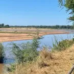 Casal é morto a facadas e corpos jogados em rio cheio de crocodilos