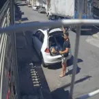 Vizinho é acusado de atirar em gata de estimação