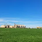 MS oferece curso gr�tis para ensinar como usar intelig�ncia artificial no campo