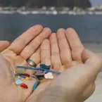 Mexilhões podem levar microplásticos para o corpo humano