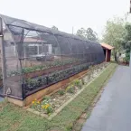 Projeto premiado em escola rural usa natureza e saberes tradicionais para ensinar