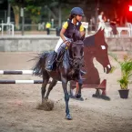 Escola de hipismo de Volta Redonda ganha ouro em competição