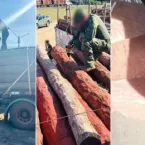 Apreens�o de Coca�na L�quida Contou com Ajuda dos EUA e da Bol�via