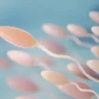 Corrida de espermatozoides vai premiar o vencedor com R$ 517 mil