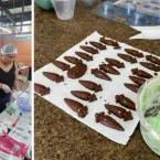 Dia do Chocolate: produção de cacau cresce com ajuda do governo