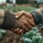 Reforma Tribut�ria muda regras para troca de insumos por gr�os no agro