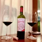 Como a uva francesa Tannat transformou os vinhos do Uruguai
