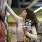 Inverno: cuidados redobrados e check-ups para c�es e gatos
