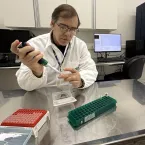 Cientistas criam 'impressão digital' para identificar carne em 20 minutos