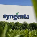 Syngenta adia venda de ações em Hong Kong para 2027