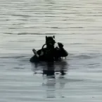 Noiva derruba aliança de noivado no lago durante pedido de casamento