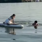 Noiva derruba aliança de noivado no lago durante pedido de casamento