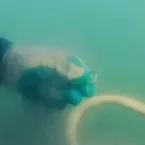 Noiva derruba aliança de noivado no lago durante pedido de casamento