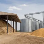 Alimentação mais barata ajuda lucro de confinamento de gado no 3º trimestre