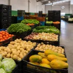 Conab divulga boletim sobre preços de frutas e verduras