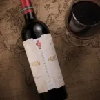 Vin�cola cria novo Malbec brasileiro com clones da Fran�a e Argentina