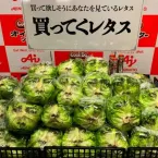 Ator japonês famoso vira garoto-propaganda de alface em supermercados