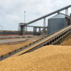 Brasil vai exportar menos soja em julho, diz associação