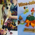 Cachorrinha adotada virou estrela e ganha festa de 'mesversário'