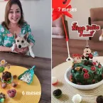 Cachorrinha adotada virou estrela e ganha festa de 'mesversário'