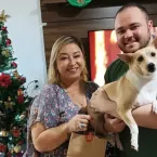 Cachorrinha adotada virou estrela e ganha festa de 'mesversário'