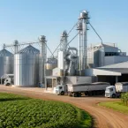 Frisia dobra produção de ração para porcos em Carambeí