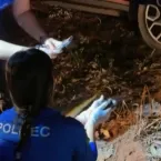 Familia é feita refém durante roubo em chácara em Juína