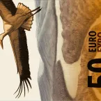 Conhe�a as novas caras do dinheiro europeu: de Beethoven a cegonhas