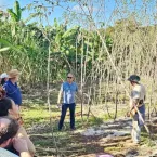 Tecnologia da Embrapa ganha prêmio e ajuda agricultura familiar