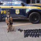 PRF apreende 20 pistolas e 40 carregadores escondidos em �nibus na BR-060