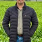 Pasto melhor, boi mais produtivo: novidades para pecuaristas no BeefDay