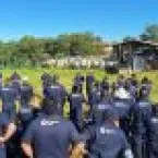 Programa une ciência e prática para melhorar a pecuária brasileira