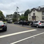 Polícia se disfarça de arbustos para pegar motoristas usando celular
