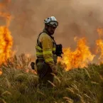 Como a tecnologia está ajudando no combate a incêndios florestais