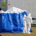 Menina de 9 anos morre ap�s ser encontrada ferida em �rea industrial na Esc�cia