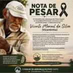 Morte de guardião indígena deixa mais de 60 gatos sem lar no Pantanal