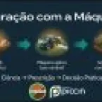 Tecnologia que enxerga o solo aumenta produção de soja e reduz custos