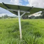 Novo centro da Unesp estuda leite sustentável e bem-estar animal