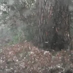 Ciclone bomba causa tornado, suspende aulas e deixa estados em alerta