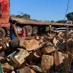 Acidente grave mata 4 indígenas da mesma família em Mato Grosso
