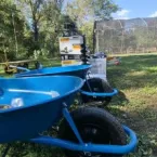 Horto Florestal recebe novos equipamentos em Cuiab�