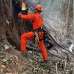 Queda de helicóptero no Rio mata 4 pessoas; Polícia e FAB investigam