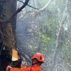 Queda de helicóptero mata 4 pessoas no Rio