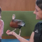 Zool�gico de Nova York: encontro incr�vel com animais selvagens sem barreiras